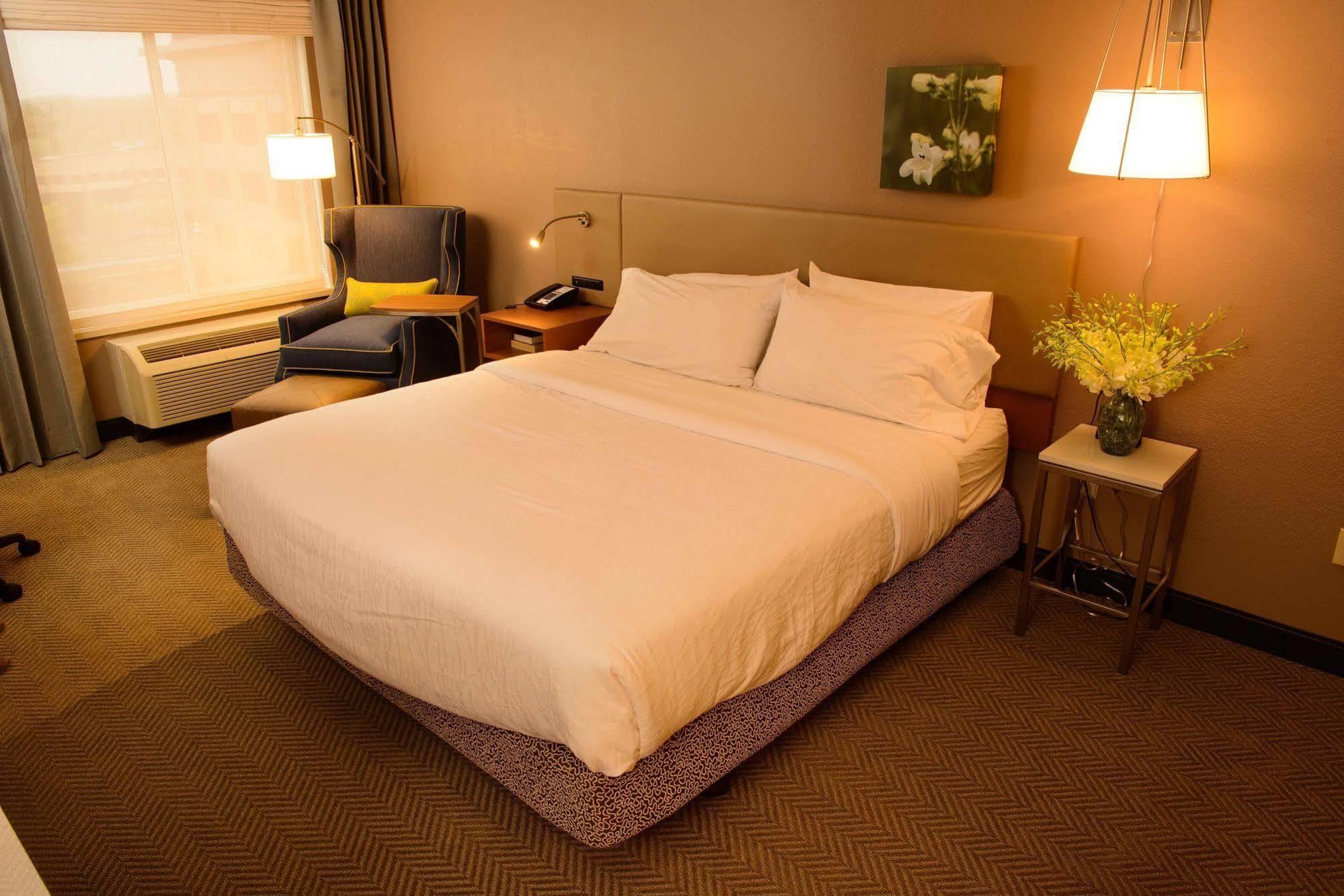 Hilton Garden Inn Rochester Downtown Екстериор снимка